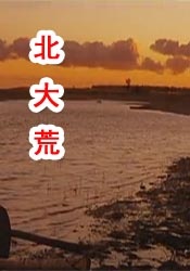 手机看片日韩在线